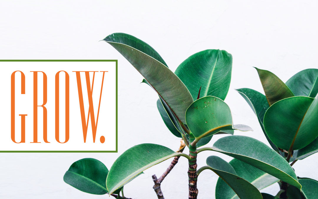 Grow